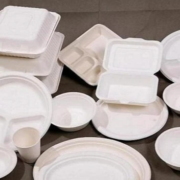 Pulp molded products (Degradable plant fiber environmental protection tableware)