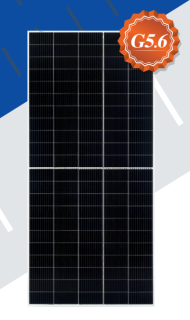 Risen Energy 210 Series Bifacial Dual-glass Monocrystalline Photovoltaic Modules