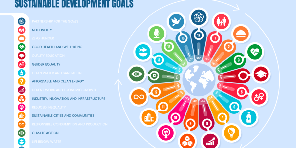 每个企业都需要知道的17个可持续发展目标