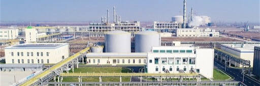 Yangnong Chemical