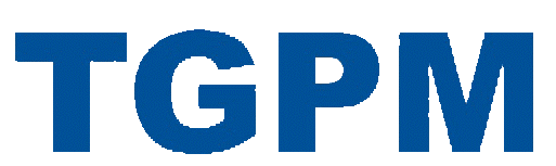 Guangdong TGPM AUTOMOTIVE Industry Group Co., Ltd. logo