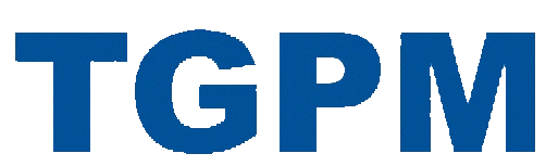 Guangdong TGPM AUTOMOTIVE Industry Group Co., Ltd. logo