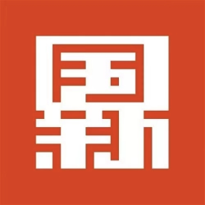 国新咨询 logo