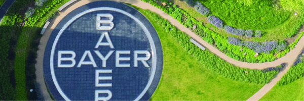 Bayer