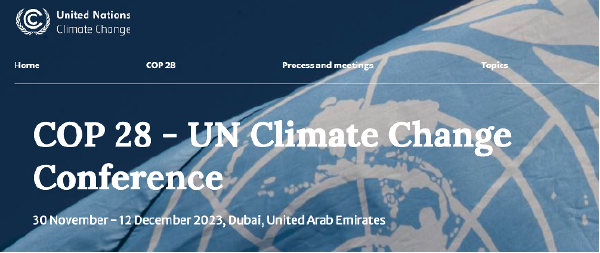 联合国气候变化大会COP 28｜碳衡科技入选“NEX COP28气候科技加速器”